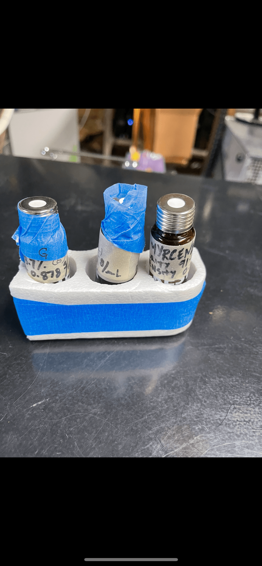 The Activities of an Intern at a Hop&nbsp;Farm.